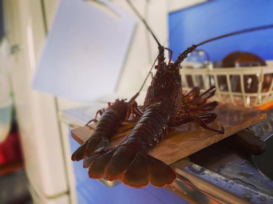 Sazanami Villa Shimoda  Buitenkant foto